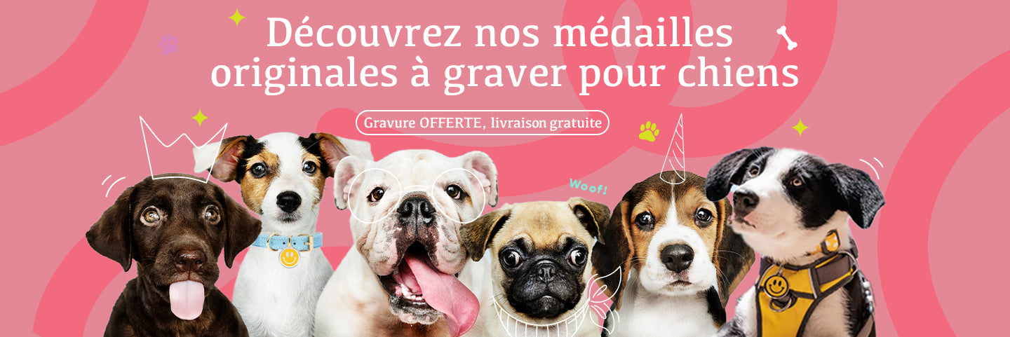 https://medailles-pour-chiens.com médaille gravée chien